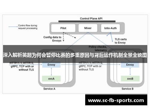 深入解析英超为何会暂停比赛的多重原因与背后运作机制全景全貌图