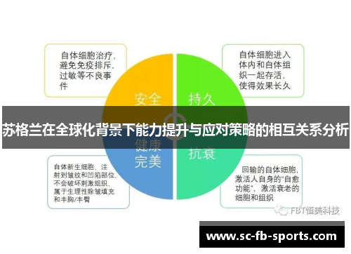 苏格兰在全球化背景下能力提升与应对策略的相互关系分析 苏格兰在全球化背景下能力提升与应对策略的相互关系分析