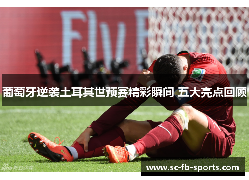 葡萄牙逆袭土耳其世预赛精彩瞬间 五大亮点回顾