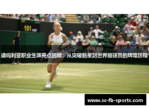 迪玛利亚职业生涯亮点回顾：从突破新星到世界级球员的辉煌历程