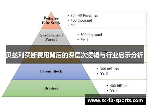 贝兹利买断费用背后的深层次逻辑与行业启示分析