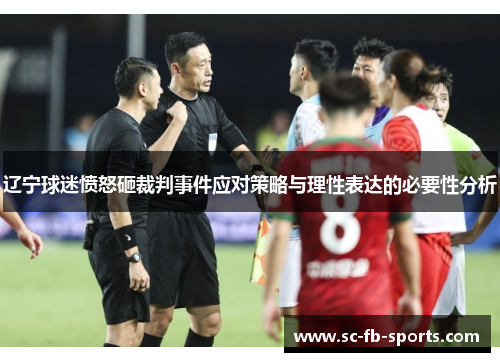 辽宁球迷愤怒砸裁判事件应对策略与理性表达的必要性分析 辽宁球迷愤怒砸裁判事件应对策略与理性表达的必要性分析