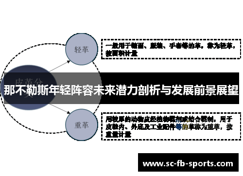 那不勒斯年轻阵容未来潜力剖析与发展前景展望 那不勒斯年轻阵容未来潜力剖析与发展前景展望